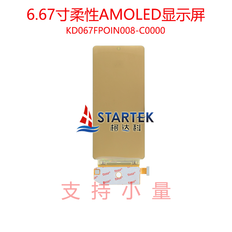 中文 背面.jpg